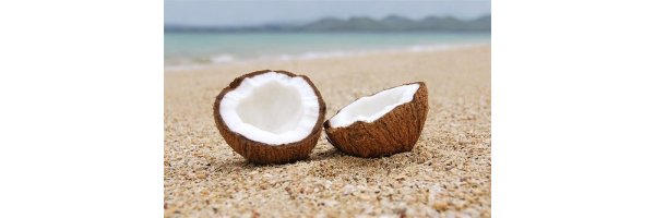 White Driftwood & Coconut