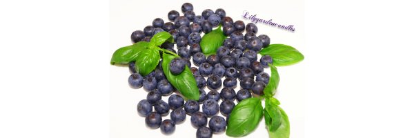 Basil Blueberry