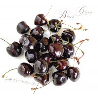 Black Cherry  Lily Round Jar medium