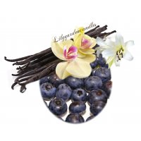 Duftkerze Blueberry & Vanilla im Glas 110g mit Holzdocht