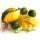 Duftkerze Mango & tangy Lime im Glas 80g