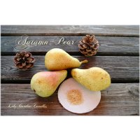 Duftkerze Autumn Pear im Glas 210g