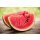 Duftkerze Watermelon in der Milchflasche 220g
