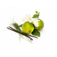 Lemongrass & Lime  Stylish Jar large