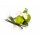Duftkerze Lemongrass & Lime im Glas 400g