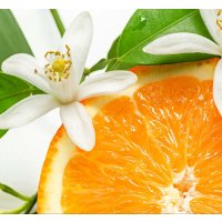 Duftkerze Citrus Blossom in der Milchflasche 120g
