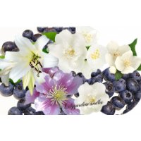 Scented candle Blueberry & Jasmine in a glass 230g