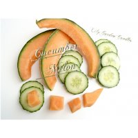 Cucumber Melon  Tealight Jar