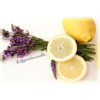 Lemon Lavender  Lily Round Jar large