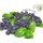 Duftkerze Basil Blueberry in der Milchflasche 120g