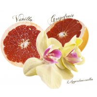 Duftkerze Vanilla Grapefruit  in der Milchflasche 120g