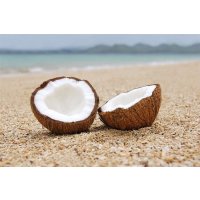 Duftkerze White Driftwood & Coconut in der Milchflasche 220g